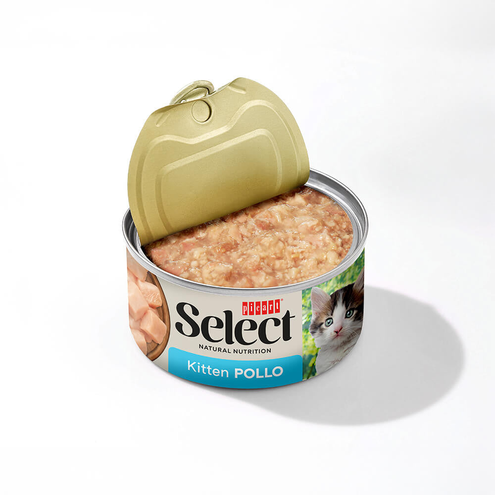 Picart Select Kitten - Caldo em Gelatina Sem Cereais - Frango e Atum