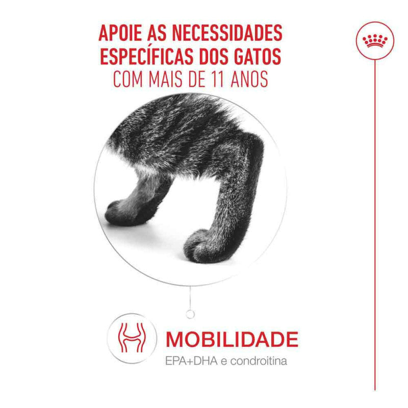 Royal Canin Ageing 11+ - Ração seca para gato com mais de 11 anos