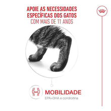 Royal Canin Ageing 11+ - Ração seca para gato com mais de 11 anos