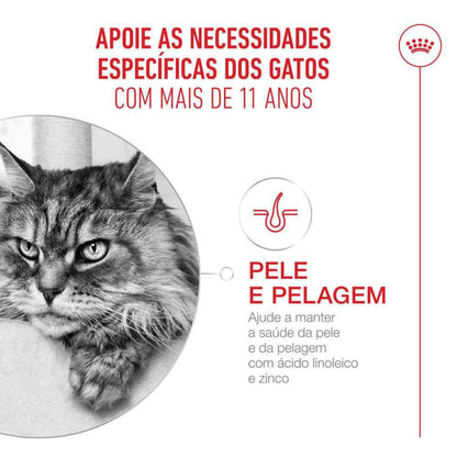 Royal Canin Ageing 11+ - Ração seca para gato com mais de 11 anos
