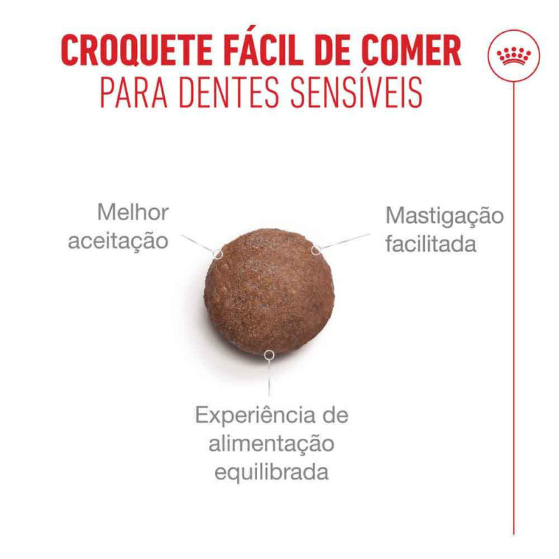 Royal Canin Ageing 11+ - Ração seca para gato com mais de 11 anos