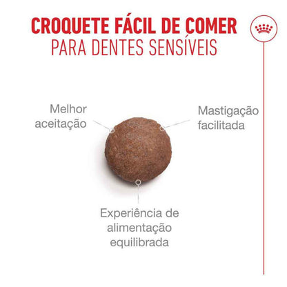 Royal Canin Ageing 11+ - Ração seca para gato com mais de 11 anos