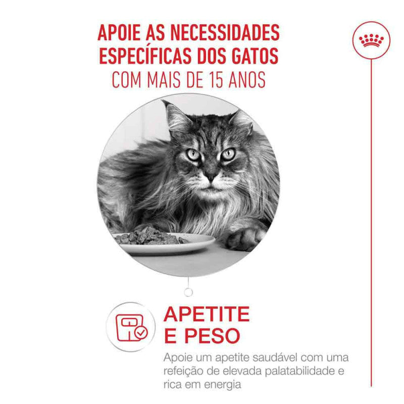 Royal Canin Ageing 15+ - Ração seca para gato com mais de 15 anos