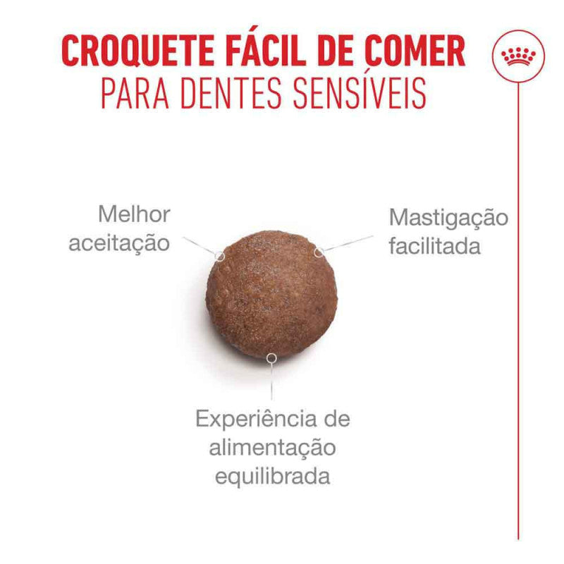 Royal Canin Ageing 15+ - Ração seca para gato com mais de 15 anos