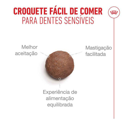 Royal Canin Ageing 15+ - Ração seca para gato com mais de 15 anos