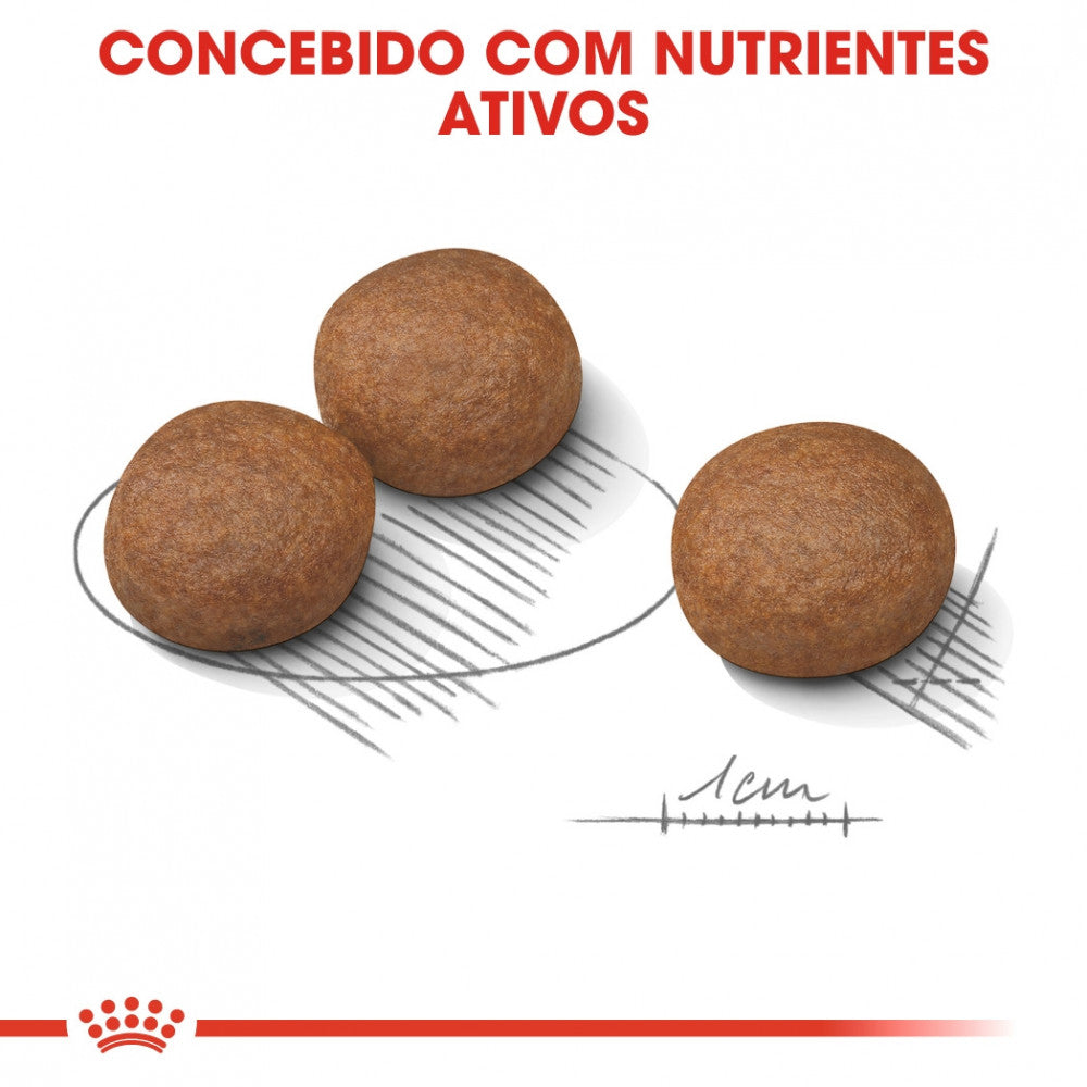 Royal Canin Digestive Care Medium Adult - Ração seca para cão de porte médio com sensibilidade digestiva