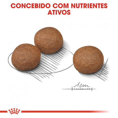 Royal Canin Digestive Care Medium Adult - Ração seca para cão de porte médio com sensibilidade digestiva