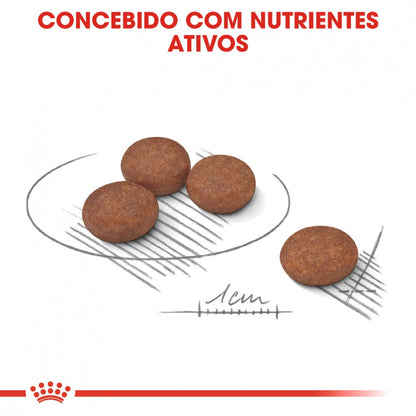 Royal Canin Digestive Care Mini Adult - Ração seca para cão de porte pequeno com sensibilidade digestiva