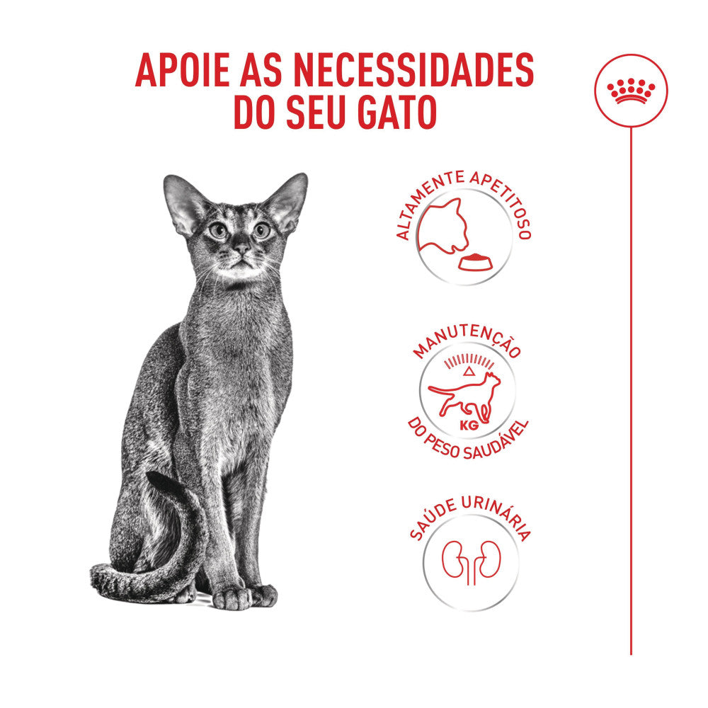 Royal Canin Fussy - Ração seca para gato exigente