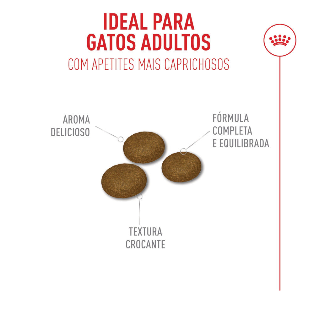 Royal Canin Fussy - Ração seca para gato exigente