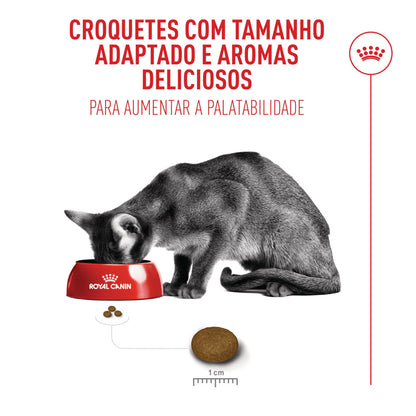 Royal Canin Fussy - Ração seca para gato exigente