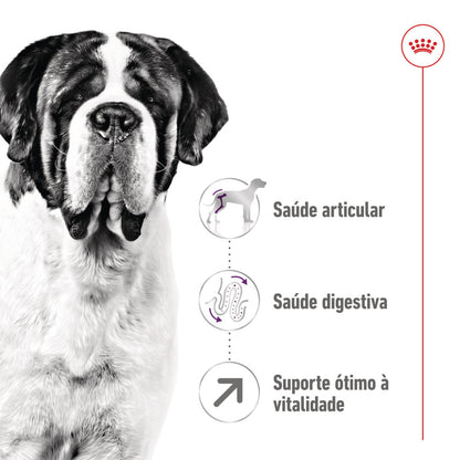Royal Canin Giant Adult - Ração seca para cão de porte gigante