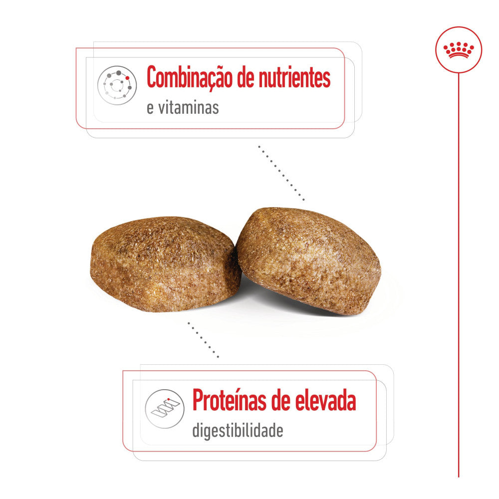 Royal Canin Giant Adult - Ração seca para cão de porte gigante