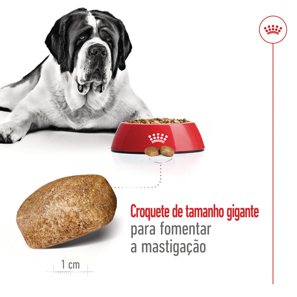 Royal Canin Giant Adult - Ração seca para cão de porte gigante