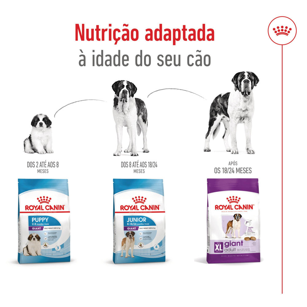 Royal Canin Giant Adult - Ração seca para cão de porte gigante