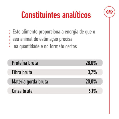 Royal Canin Giant Adult - Ração seca para cão de porte gigante