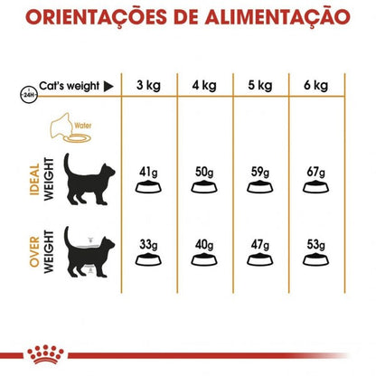Royal Canin Hair & Skin Care – Ração Seca para Gato Adulto (Pele e Pelo Sensíveis)