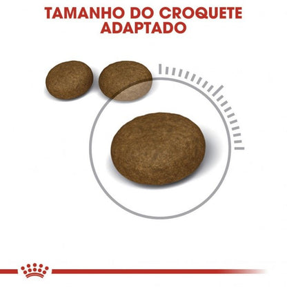 Royal Canin Hair & Skin Care – Ração Seca para Gato Adulto (Pele e Pelo Sensíveis)
