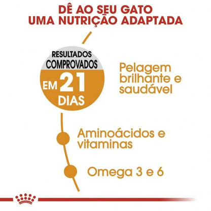 Royal Canin Hair & Skin Care – Ração Seca para Gato Adulto (Pele e Pelo Sensíveis)
