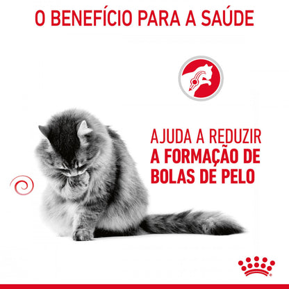 Royal Canin Hairball Care – Ração Seca para Gato Adulto (Controlo de Bolas de Pelo)