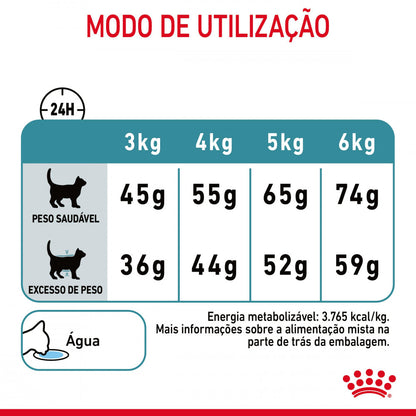 Royal Canin Hairball Care – Ração Seca para Gato Adulto (Controlo de Bolas de Pelo)