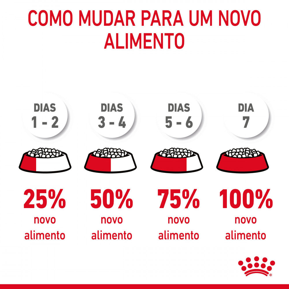 Royal Canin Hairball Care – Ração Seca para Gato Adulto (Controlo de Bolas de Pelo)