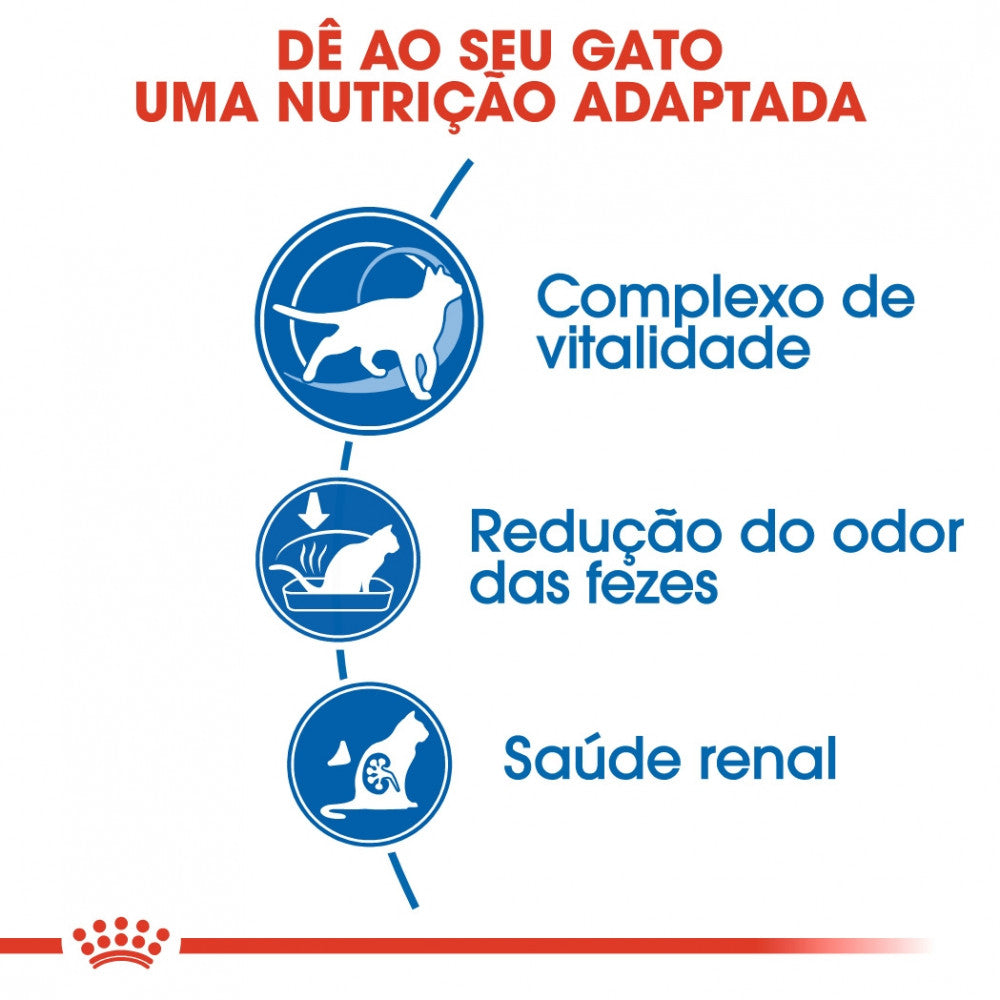 Royal Canin Indoor 7+ Adult - Ração seca para gato de interior com mais de 7 anos