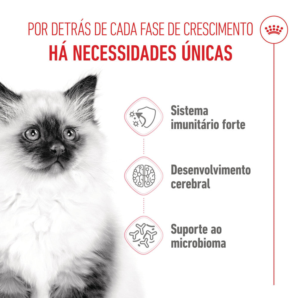 Royal Canin Kitten - Ração seca para gatinhos