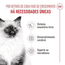 Royal Canin Kitten - Ração seca para gatinhos