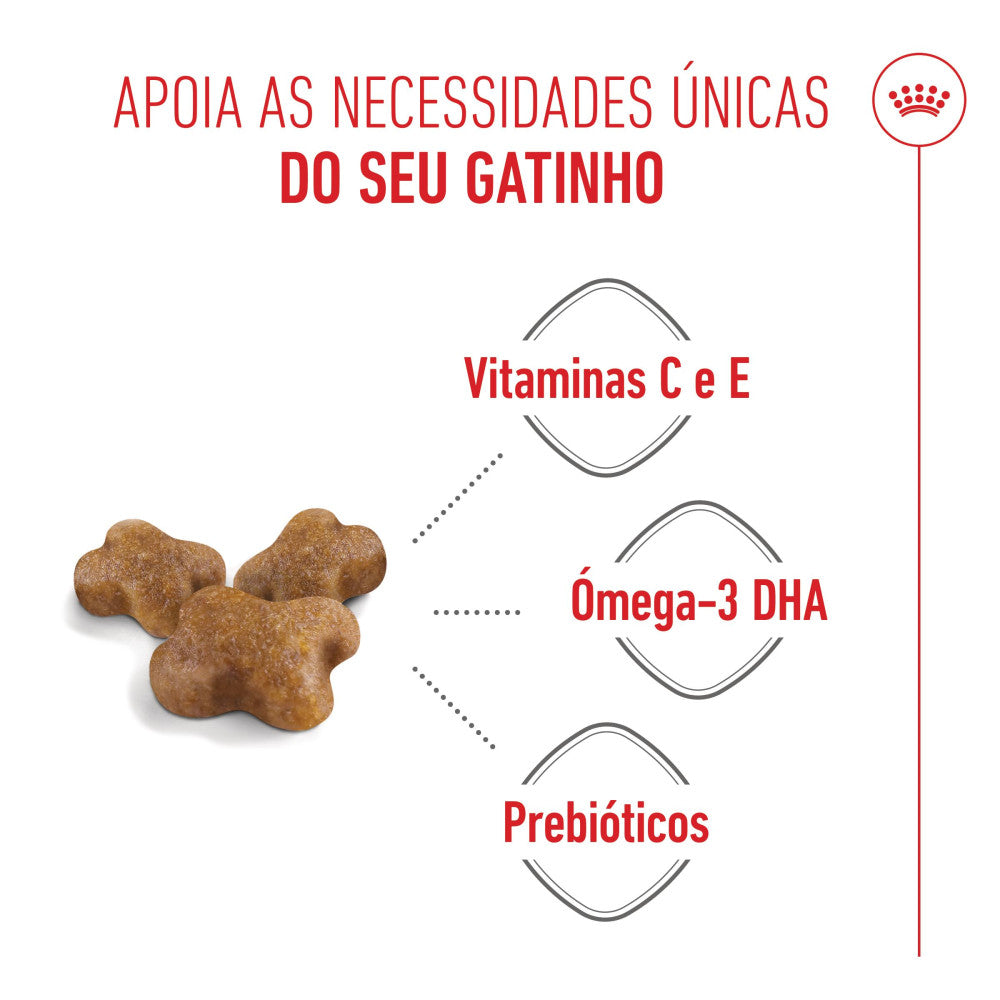 Royal Canin Kitten - Ração seca para gatinhos
