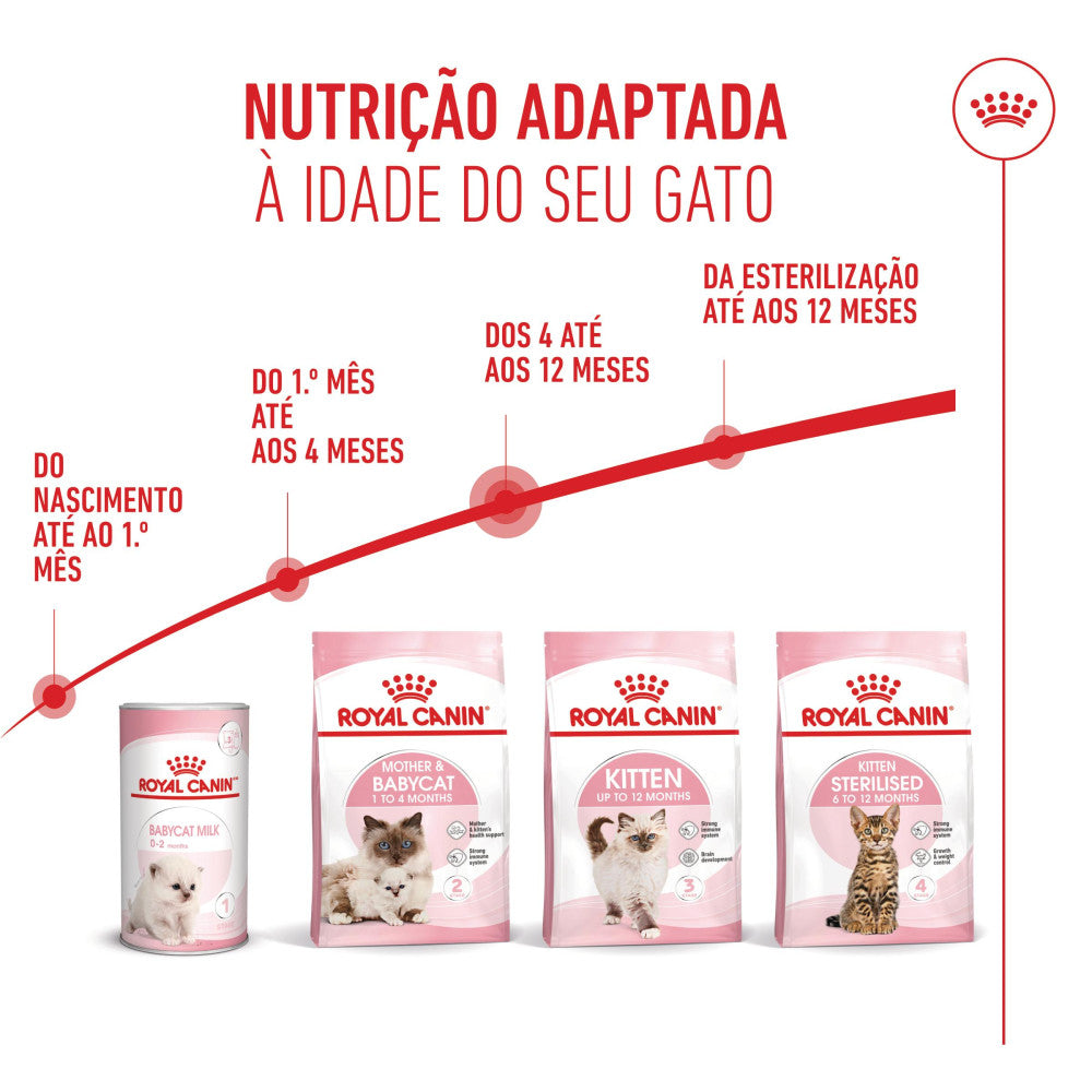 Royal Canin Kitten - Ração seca para gatinhos