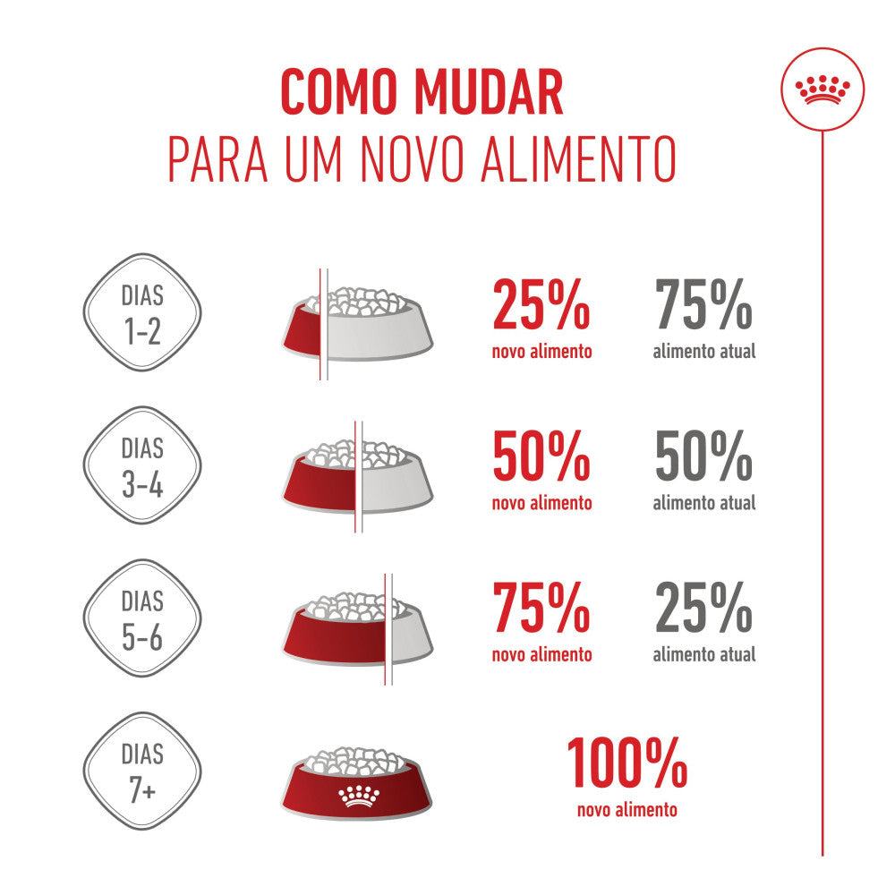 Royal Canin Kitten - Ração seca para gatinhos