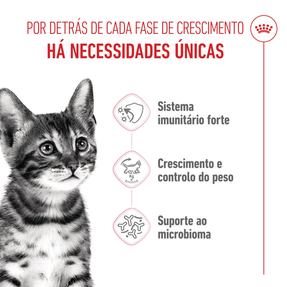 Royal Canin Kitten Sterilised - Ração seca para gatinho esterilizado