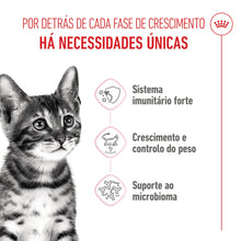 Royal Canin Kitten Sterilised - Ração seca para gatinho esterilizado