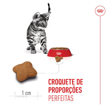 Royal Canin Kitten Sterilised - Ração seca para gatinho esterilizado