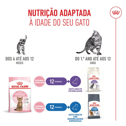 Royal Canin Kitten Sterilised - Ração seca para gatinho esterilizado