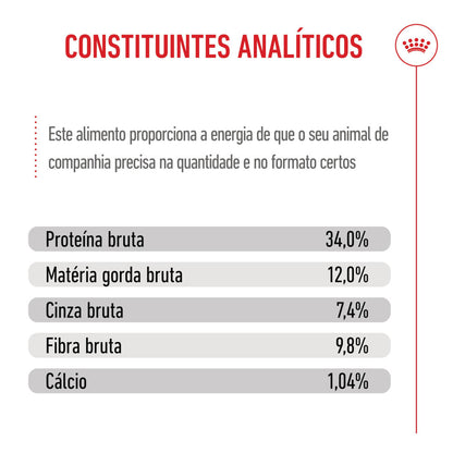 Royal Canin Kitten Sterilised - Ração seca para gatinho esterilizado