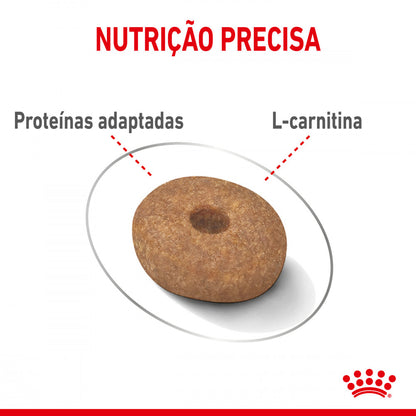Royal Canin Light Weight Care Mini - Ração seca para cão adulto de porte pequeno para controlo de peso