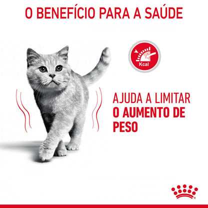 Royal Canin Light Weight Care - Ração seca para gato adulto (Controlo de Peso)