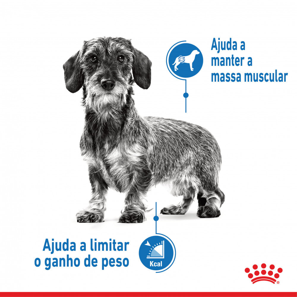 Royal Canin Light Weight Care X-Small Adult - Ração seca para cão de porte muito pequeno para controlo de peso