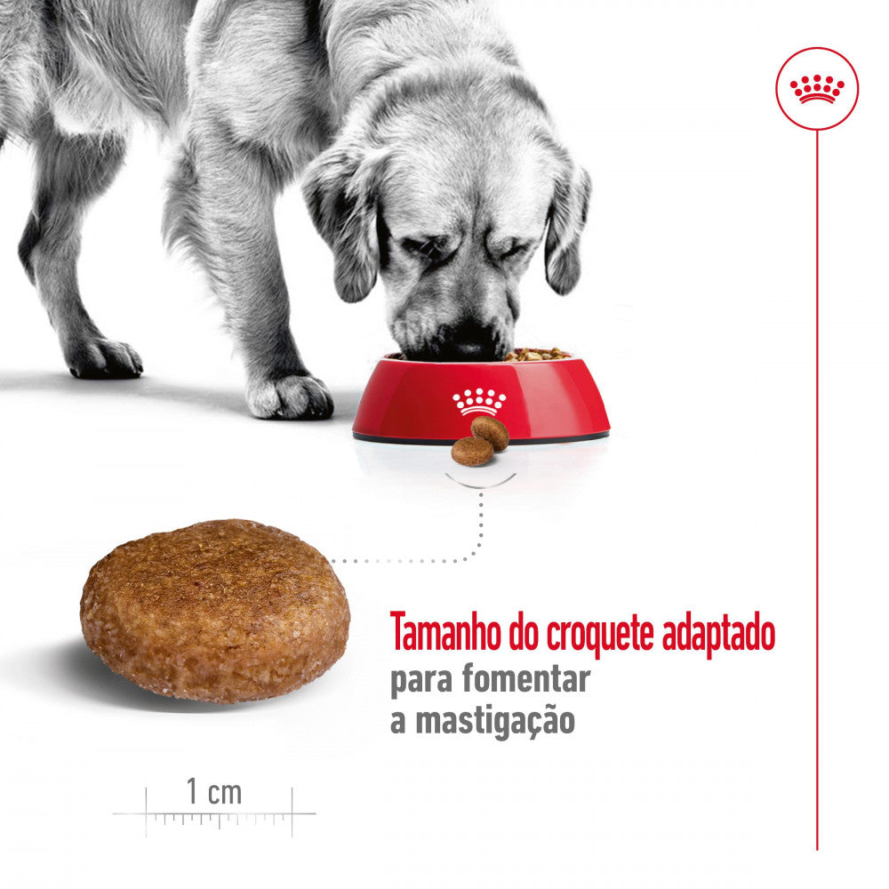 Royal Canin Maxi Adult 5+ - Ração seca para cão de porte grande com mais de 5 anos