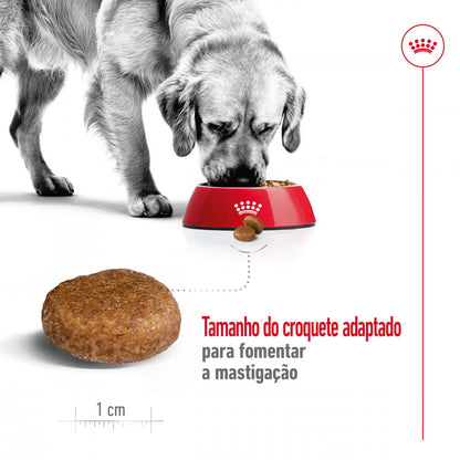 Royal Canin Maxi Adult 5+ - Ração seca para cão de porte grande com mais de 5 anos