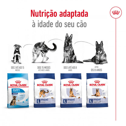Royal Canin Maxi Adult 5+ - Ração seca para cão de porte grande com mais de 5 anos