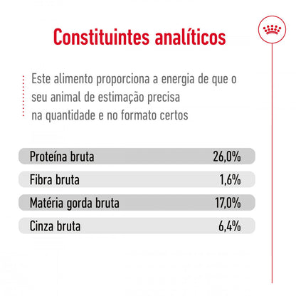 Royal Canin Maxi Adult 5+ - Ração seca para cão de porte grande com mais de 5 anos