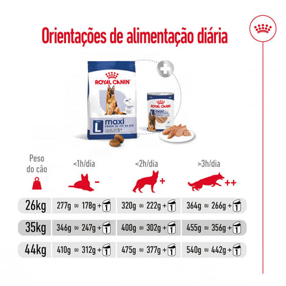 Royal Canin Maxi Adult 5+ - Ração seca para cão de porte grande com mais de 5 anos