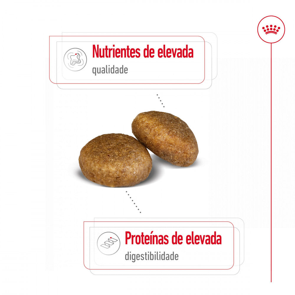Royal Canin Maxi Adult - Ração seca para cão de porte grande