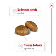 Royal Canin Maxi Adult - Ração seca para cão de porte grande