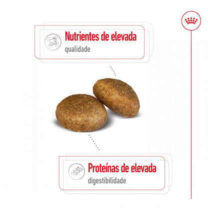 Royal Canin Maxi Adult - Ração seca para cão de porte grande