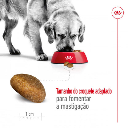 Royal Canin Maxi Adult - Ração seca para cão de porte grande