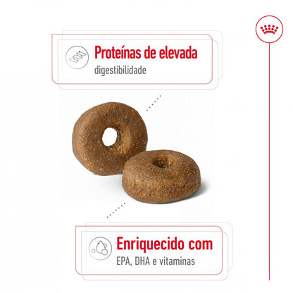 Royal Canin Maxi Ageing 8+ - Ração seca para cão sénior de porte grande com mais de 8 anos